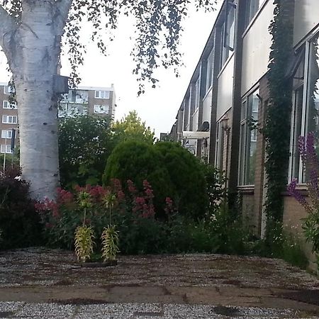 אלפן אן דן ריין Homestay Dutchable מראה חיצוני תמונה