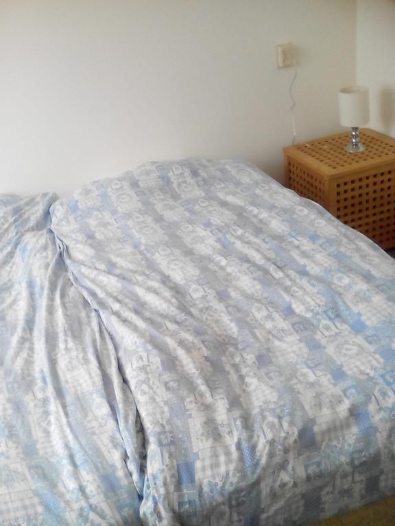 אלפן אן דן ריין Homestay Dutchable מראה חיצוני תמונה